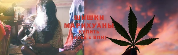 PSILOCYBIN Алексин